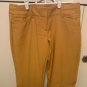 NY&Co Gold/Mustard Pants